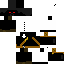 skin for Shadow Trancformerguy24