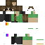skin for simple