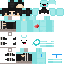 skin for skeppy
