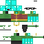 skin for skeppy robin