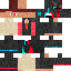 skin for Skin v4