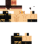 skin for skin vitor