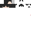 skin for Скин2