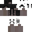 skin for skinbase 9