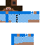 skin for sleepy steve