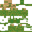 skin for Soldier