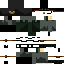 skin for Special Force