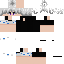 skin for ss