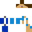skin for Steve 2 min
