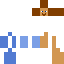 skin for Steve 30 sec