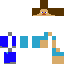 skin for Steve 5 min