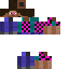 skin for STEVE bug