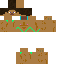 skin for STEVE EN STRING