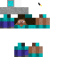 skin for Steve holding bucket of water