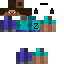 skin for STEVE