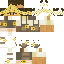 skin for sunflower person