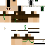 skin for Survival series