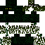 skin for Swamp Enderman