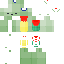 skin for T U R T L E