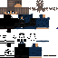 skin for Test
