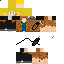 skin for Test3