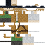 skin for The Irish Rover
