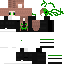 skin for The Sus one but a girl and green