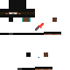skin for The white ninja