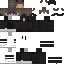 skin for this isnt mine