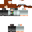 skin for trtu