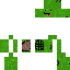 skin for turt boi