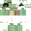 skin for Turtilz