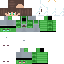 skin for Turtle Boyo
