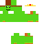 skin for turtleking