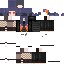 skin for V3