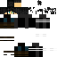 skin for V33