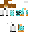 skin for VALERINK29