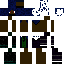skin for Veil3