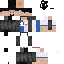 skin for vicrtor