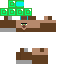 skin for villager