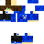 skin for vintik173