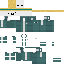 skin for visle robat