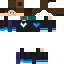 skin for Voron