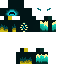 skin for Warden