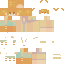 skin for Warm pallet guy