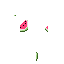 skin for What i think of a melon