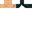 skin for wip