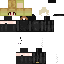 skin for wipp