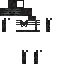 skin for Wither