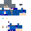 skin for Wizard
